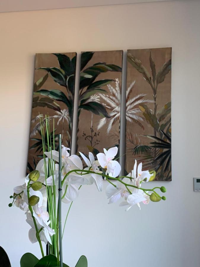 Dcm Lofts Apartment Arcozelo  Екстериор снимка